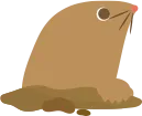 動物
